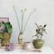 Hello Honey® 10.5" Multicolor Hand-Painted Stoneware Organic Vase with Reactive Glaze